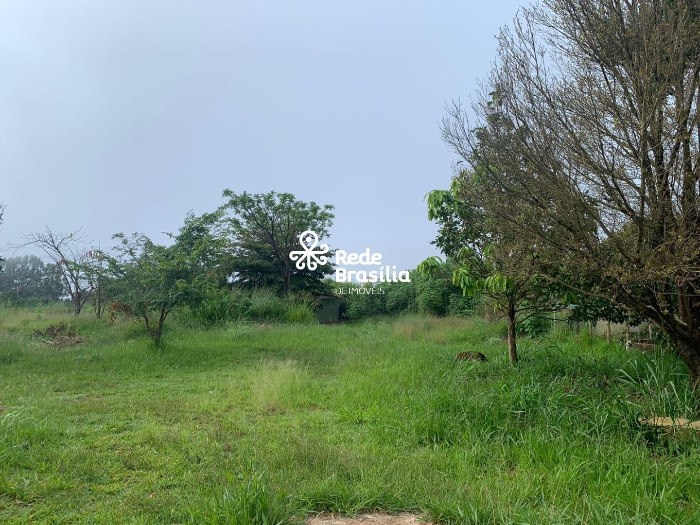 Imagem da propriedade DI648 13
