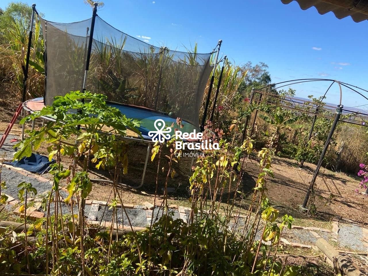 Imagem da propriedade DI695 12