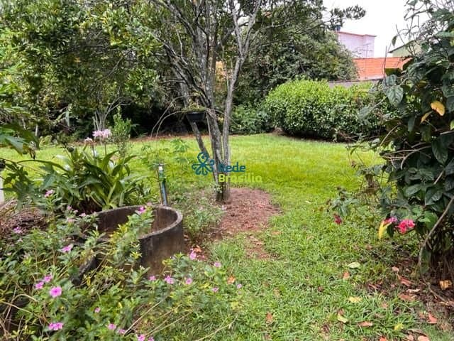 Imagem da propriedade CO7914 31