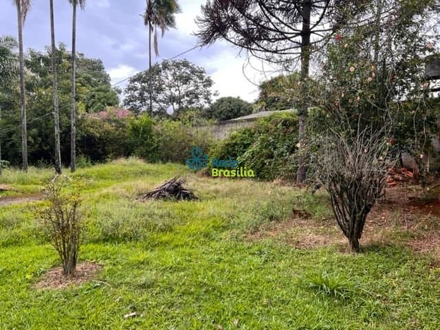 Imagem da propriedade CO7914 44