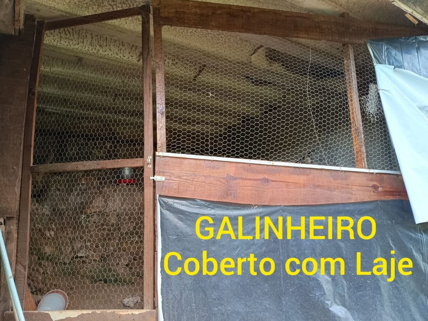 Imagem da propriedade RB1638 9